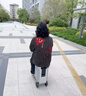 爱尔威（Airwheel）电动行李箱可骑行智能拉杆箱可坐可代步20英寸登机箱 青春版—银 实拍图