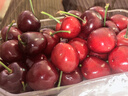 京鲜生 大连美早樱桃 车厘子 3J级巨无霸 2斤礼盒装 单果12g+ 生鲜水果 实拍图