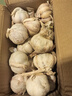 【百万单爆品】紫白皮蒜水果大蒜超市生鲜蔬菜调料即食蒜 【优选】净重0.9斤单果3.5-5cm 实拍图