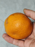 京鲜生【公益好物】川爷爷的春见耙耙柑 净重4.5-5斤 单果140g+ 实拍图