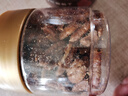 许久 SINCE 1993 奶香碧根果仁精品罐装150g坚果炒货休闲零食无壳纯果仁25年新货 实拍图