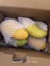 京鲜生  海南金煌芒果 5斤礼盒装 单果约400g 新鲜水果 实拍图