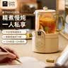 WORLD KITCHEN美国康宁养生壶多功能家用小型办公室全自动全玻璃恒温壶0.5L迷你养生杯煮茶器煮茶壶（标准款） 实拍图