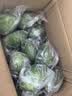 广东香水柠檬包邮新鲜水果柠檬精选皮薄奶茶店【百补优选】 柠檬净重5斤单果净重50g+ 实拍图