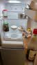 上菱183升双开门冰箱风冷无霜小型家用二门 净味养鲜 小户型租房宿舍以旧换新 BBY183WL 实拍图