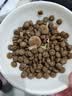 LEGENDSANDY蓝氏狗粮金毛柯基泰迪全犬种成犬幼犬荒野猎兔冻干犬粮250g 实拍图