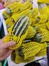 CandyMoyo坚果指缘油磨砂去死皮防倒刺营养笔精油滚珠护甲指甲护理 实拍图