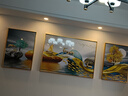 Sixpoetry 客厅装饰画现代简约沙发背景墙壁画轻奢三联晶瓷画大气高档挂画 福禄双收（铝合金外框） 晶瓷画左右50*70+中间100*70亮面 实拍图