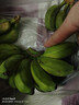 广西网红小米蕉青香蕉发货密封放熟吃新鲜水果皮薄肉厚 带箱2斤青蕉发货 实拍图