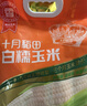 十月稻田 白糯玉米 8根 4.16斤 东北甜粘玉米 非转基因 低脂早餐 实拍图