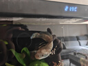 森森金麟超白玻璃鱼缸一体缸自循环客厅小型家用水族箱LE-480B 实拍图