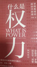 什么是权力 俞敏洪 罗翔 刘苏里 刘擎 推荐 政法大学教授李筠的政治课 世间万象背后的政治学原理 大观文丛01 什么是权利 实拍图