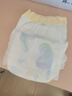 babycare易穿裤拉拉裤XL码36片(12-17kg)短裤式婴儿尿不湿柔软透气易穿脱 实拍图