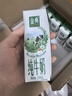 伊利【新鲜日期】金典纯牛奶早餐奶250ml*16 3.6g乳蛋白 礼盒装 2-3月 实拍图
