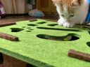 欢宠网猫玩具猫咪掏掏乐逗猫盒掏洞丰容猫抓板猫猫小猫幼猫自嗨解闷神器 实拍图
