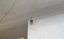 dahua大华无线摄像头AI双摄1000万全彩夜视360度全景无死角室外wifi手机远程语音对讲监控器P10A含128G 实拍图