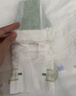babycare金山茶花婴儿纸尿裤mini装NB34片(<5kg)新生儿尿不湿【新老混发】 实拍图