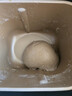 东菱（Donlim）家用全自动无糖面包机大容量智能双撒大功率无糖轻享可预约多功能面包机和面机冰淇淋机DL-1352白 实拍图