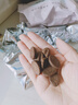 嘴滋妙无糖咖啡豆饼干烘焙糕点酥脆迷你代餐饼下午茶解馋休闲零食500g 实拍图