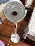 艾美特（AIRMATE）【净化驱蚊】空气循环扇电风扇家用大风力台式落地扇卧室超安静轻音节能AI语音智能遥控电扇SQR258 实拍图