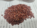 万利达磨粉机干湿两用超细五谷杂粮研磨杯药材家用粉碎绞肉粉打粉 蓝色【500毫升】 共1刀【无备用刀头】 实拍图