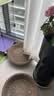 疯狂的主人 猫抓板窝超大号猫玩具猫爪板猫抓盆不掉屑猫窝碗形圆形瓦楞纸 实拍图