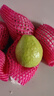 京地达软糯红心芭乐净重5斤单果100g+丝滑香甜孕妇新鲜水果源头直发包邮 实拍图
