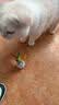 HELLOJOY猫咪不倒翁玩具羽毛逗猫棒球猫消耗体力自嗨解闷神器猫咪用品 实拍图