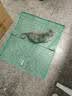 养殖场自动捕鸡笼捉鸡神器笼子户外家用抓鸡网抓鸽子工具天落网 40*50 绿色 实拍图