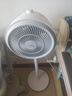 美的（Midea）【暴风循环】空气循环扇大风量摇头电风扇家用台式落地扇轻音卧室节能小风扇柔风轻羽扇 FGA24TQ 实拍图