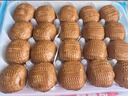 广州酒家核桃包750g 20个 早餐半成品 广式早茶点心 包子速食速冻开学季 实拍图
