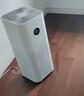 米家小米空气净化器5S【缓解花粉过敏】家用除甲醛除菌除过敏AC-M24-SC 实拍图