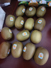 佳沛（zespri）新西兰 新果季 阳光金奇异果12粒特大果单果124-146g 猕猴桃 实拍图