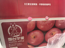 京鲜生 烟台红富士苹果 净重10斤 单果190g以上 礼盒装 生鲜水果 实拍图