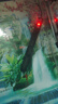 森森（SUNSUN）鱼缸加热棒自动恒温水族箱防爆加热器鱼缸水族用品 三代升级500W 急速加热 适合250L水以下 实拍图