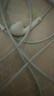 Apple/苹果 EarPods USB-C有线耳机 type-c有线耳机苹果耳机 苹果17有线耳机笔记本耳机游戏音乐 实拍图
