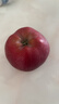 京鲜生甘肃天水花牛苹果 又大又红 净重4.5斤装 单果200g起 生鲜水果 实拍图