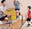 TaTanice敏捷梯多功能蝴蝶折叠跳格子软梯跨栏架儿童感统训练玩具生日礼物 实拍图