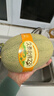 北纬23°西州蜜瓜约1.3kg 实拍图
