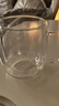 GLASSLOCK茶杯双层玻璃杯家用水杯咖啡杯耐高温泡茶杯办公室高硼硅450ml 实拍图
