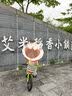 凤凰儿童自行车单车2-3-4-6-9-10岁男孩童车中大童女孩小孩宝宝脚踏车 春意绿-辐条轮-抱刹 16寸（推荐身高105-115cm） 实拍图