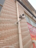 镭威视无线摄像头室外需连wifi网络手机远程高清夜视监控器家用360度无死角带夜视全景对话旋转农村户外 实拍图