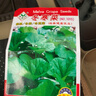 冬寒菜种子葵菜冬葵冬苋菜种籽秋冬农家菜园阳台盆栽青菜蔬菜种孑 盈科冬寒菜种子 【1包】【1600粒左右】 晒单实拍图