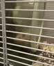 CARNO PET PRODUCTS卡诺仓鼠龙猫降温冰盒冰窝冰垫荷兰猪豚鼠兔子夏天散热板神器用品 实拍图