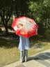 七麦麦全自动三折雨伞学生儿童晴雨伞环扣手柄可挂书包圆角防戳红色 实拍图