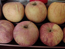 京鲜生山东烟台红富士苹果 净重5斤装75-80mm生鲜水果源头直发包邮 实拍图