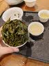 陈一凡安溪铁观音 正宗特级兰花香乌龙茶叶新茶清香型自饮招待袋装500g 实拍图