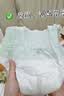 babycare金山茶花婴儿纸尿裤mini装NB34片(<5kg)新生儿尿不湿【新老混发】 实拍图
