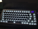 ROG夜魔Extreme 无线三模游戏键盘 75配列 热插拔客制化 可调Gasket结构 全彩OLED 8K回报率机械键盘 【新品】夜魔 Extreme SE冰暴灰轴 实拍图