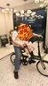大行（DAHON）D6经典折叠自行车20英寸6速折叠车成人男女士学生折叠单车KBC061 墨绿色 实拍图